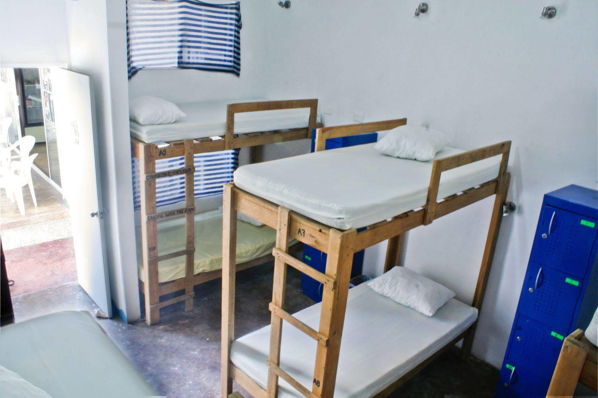 Hostal Vive La Vida Плая-дель-Кармен Экстерьер фото